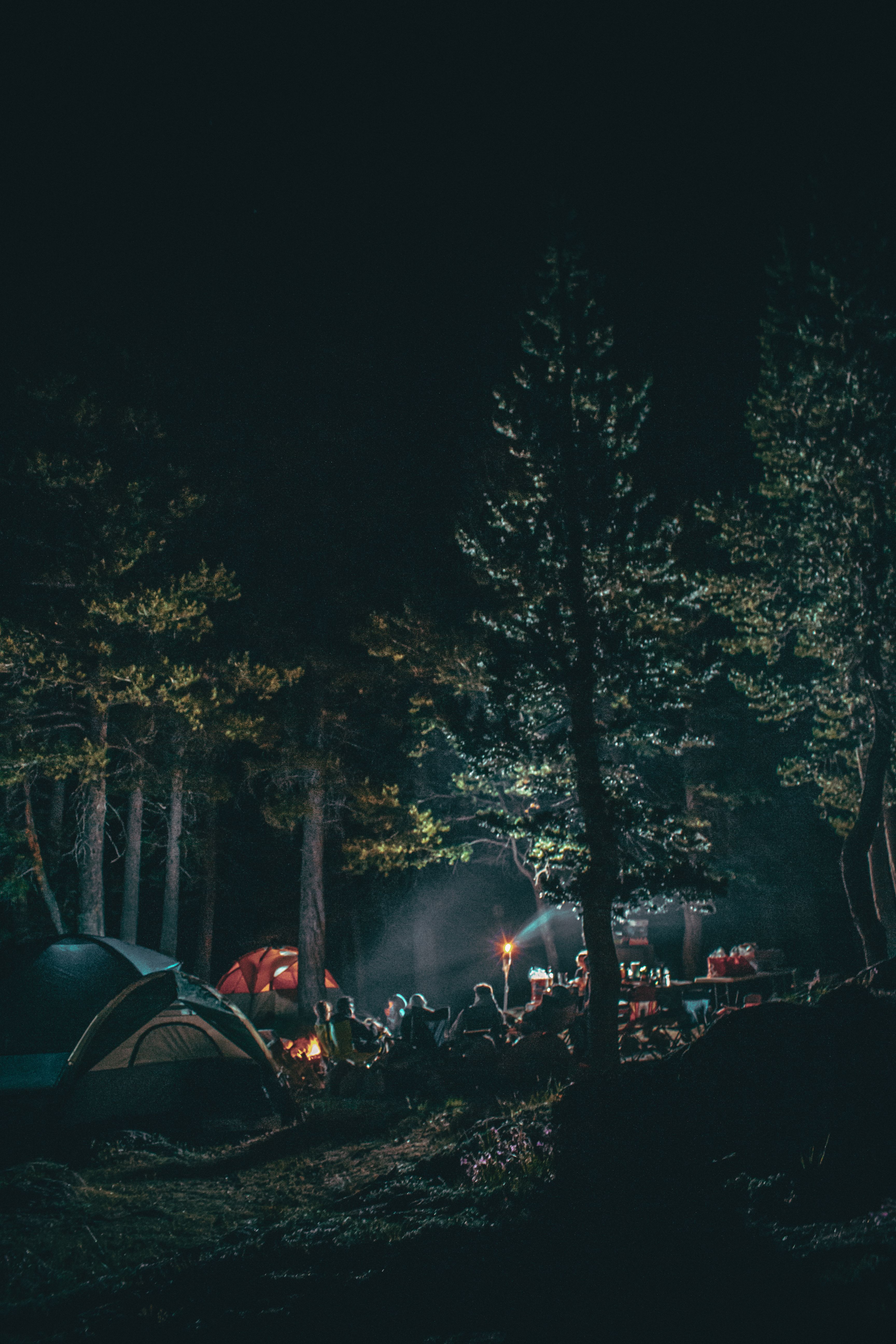 Camping in Northeast India