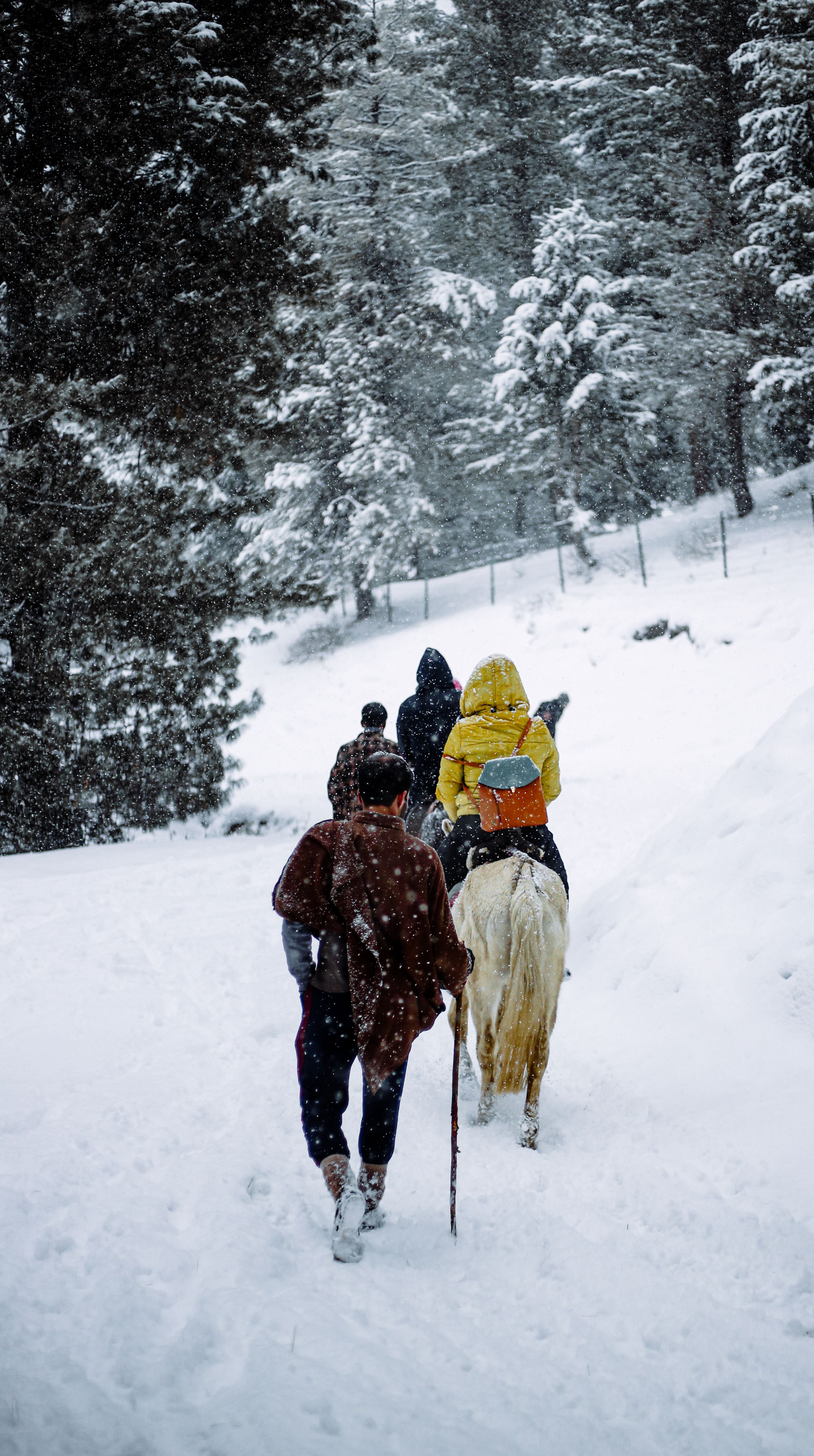 Snow trekking