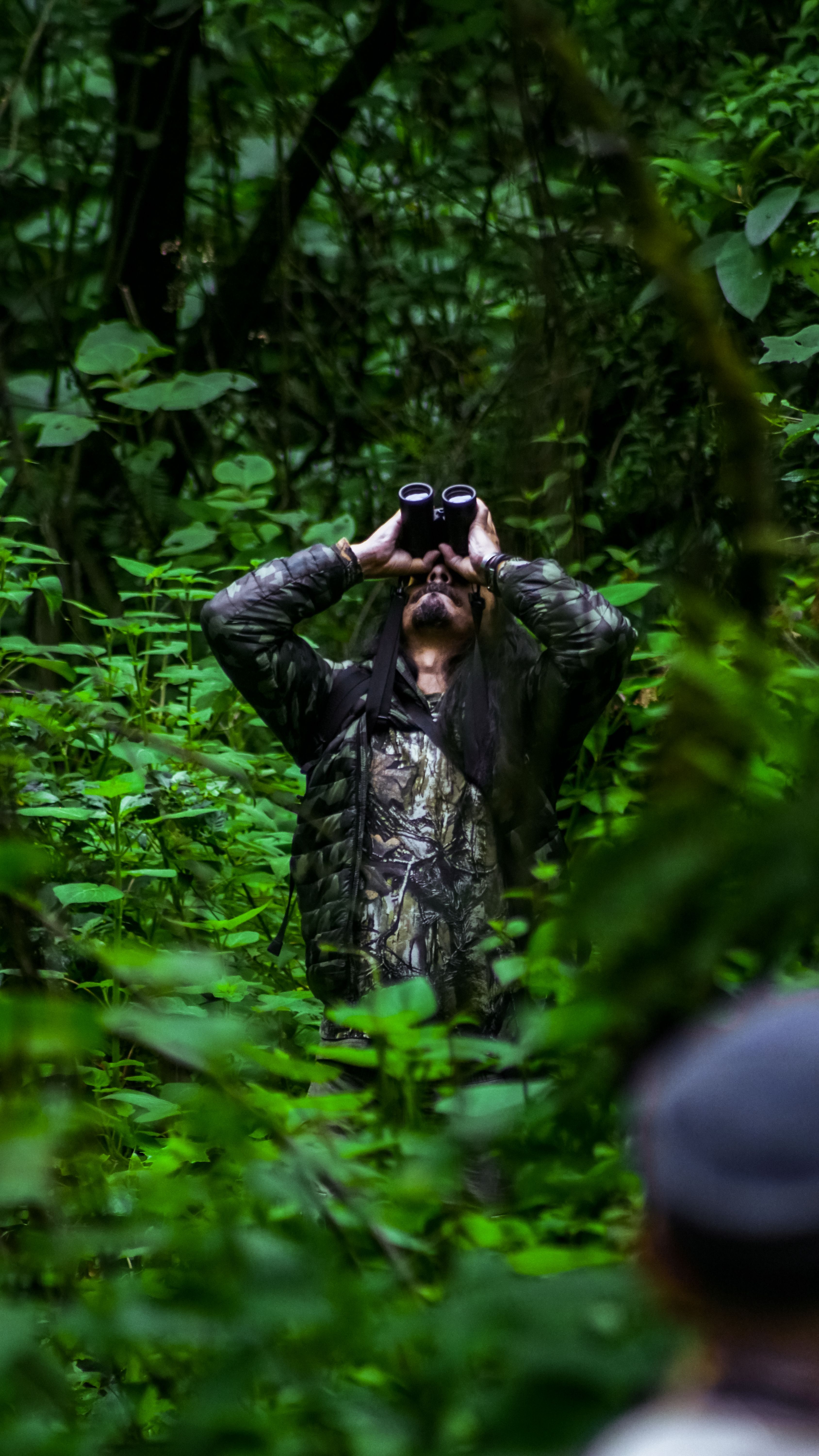 Birding landscape in Northeast India