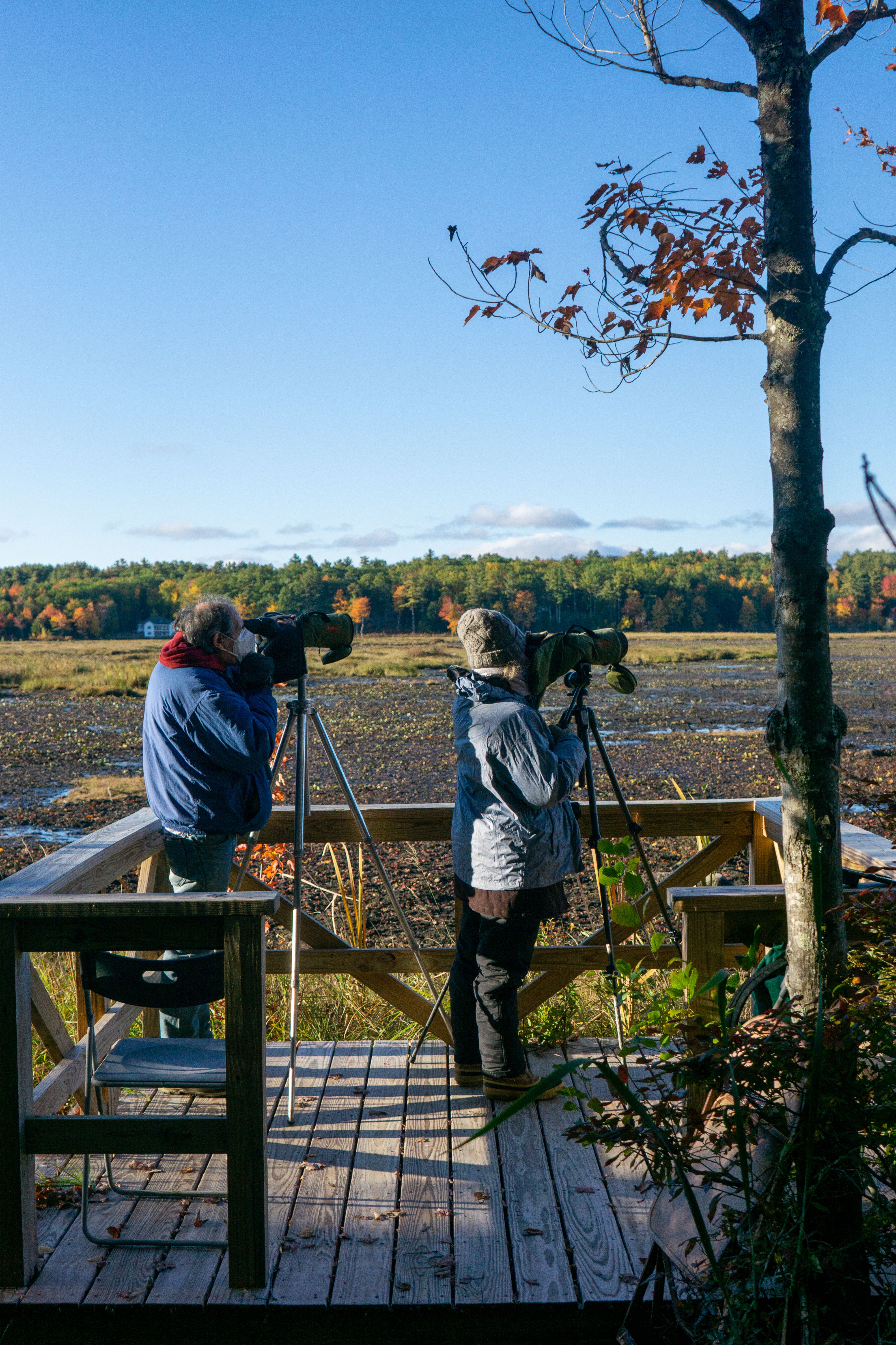 Lowland birding