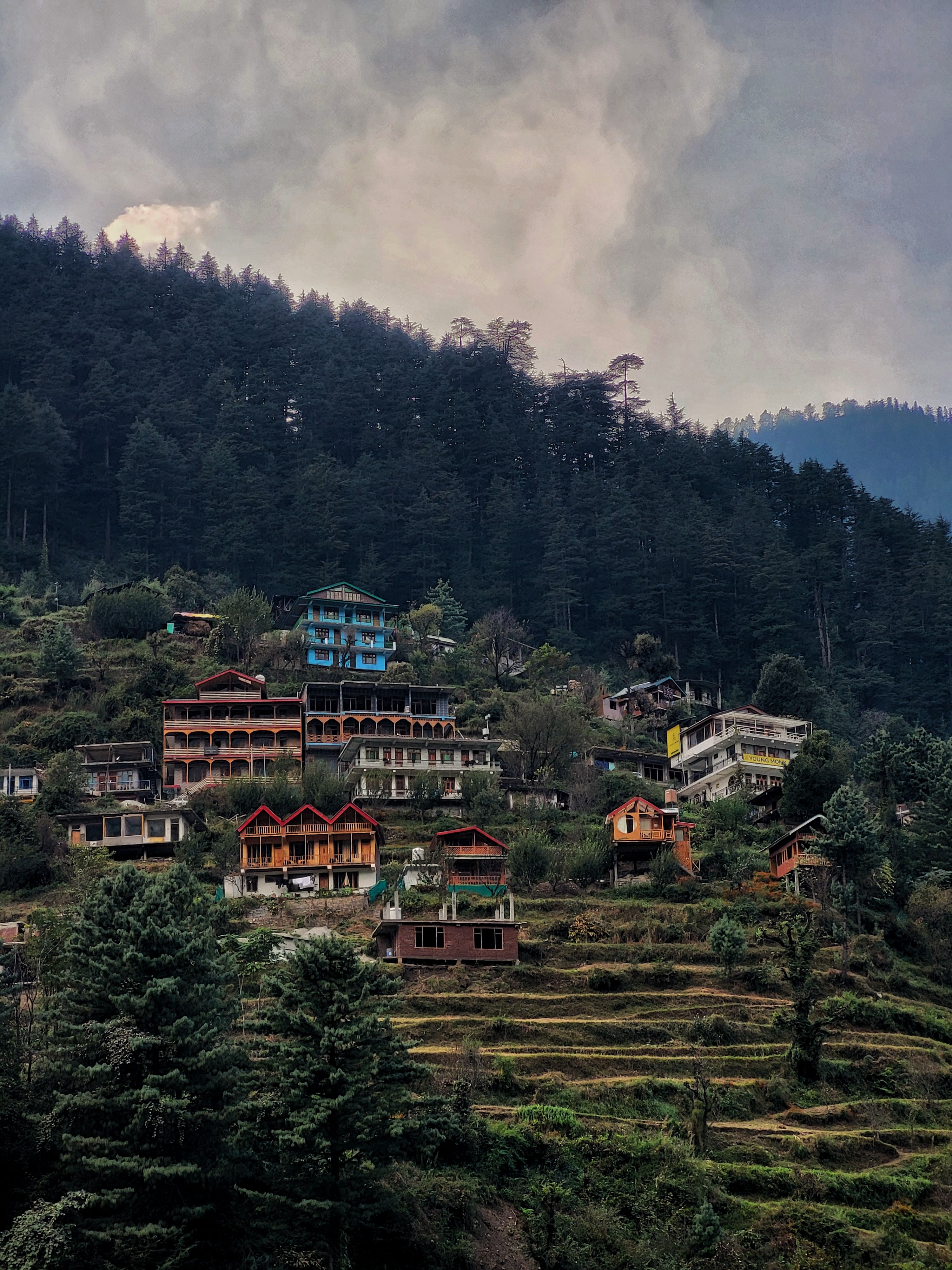 Assam homestay