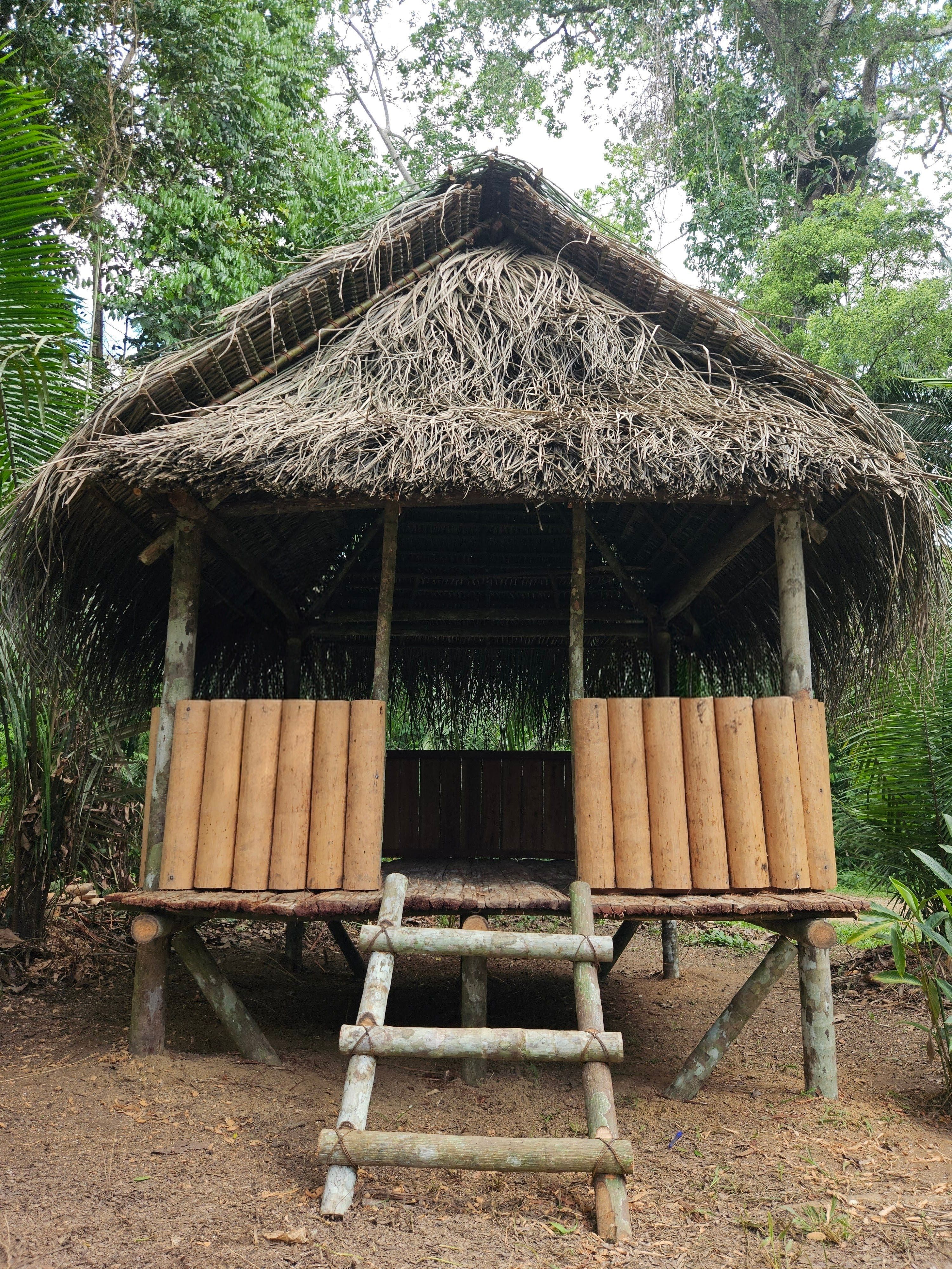 Community homestay near Pakke