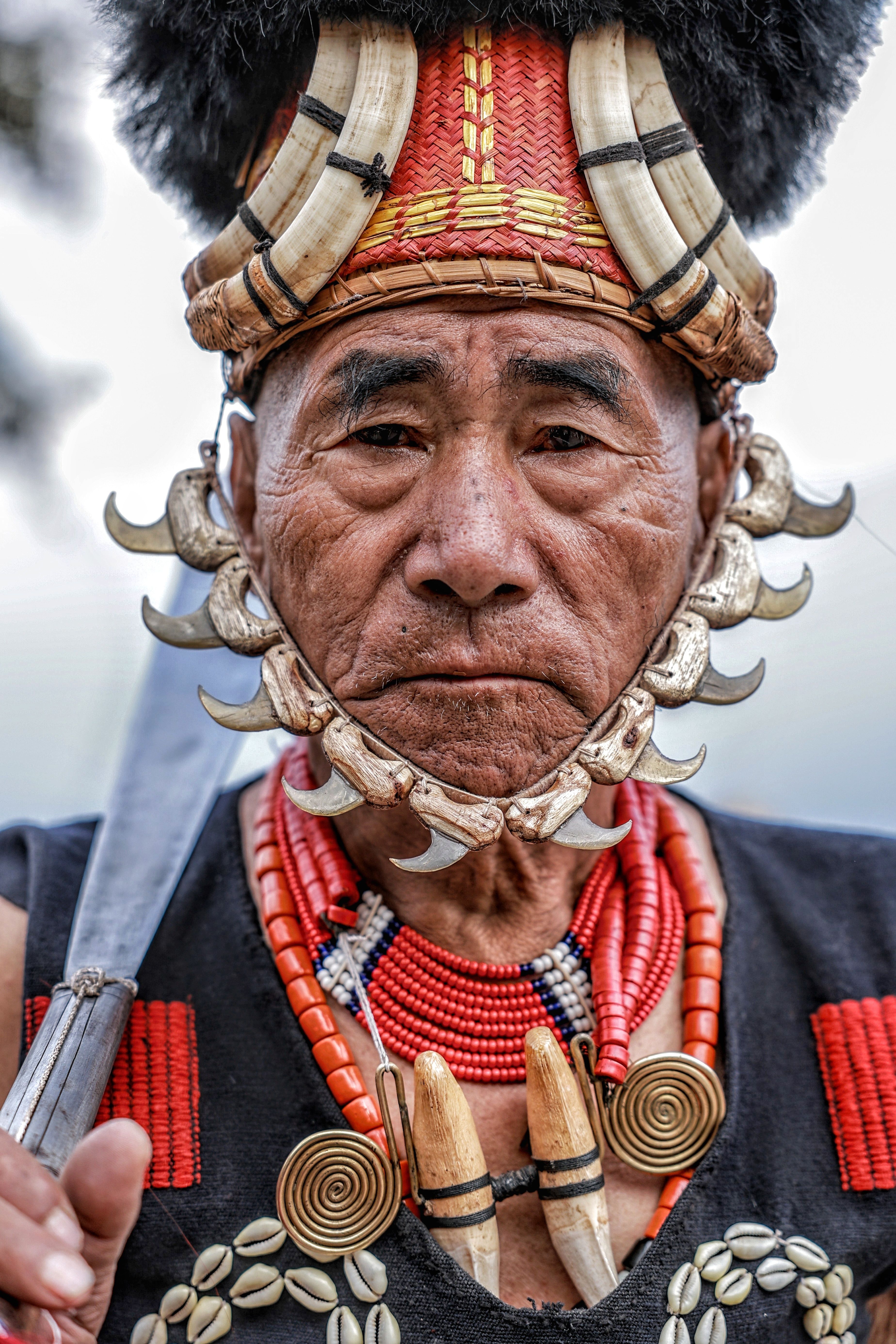 Nagaland cultural experience