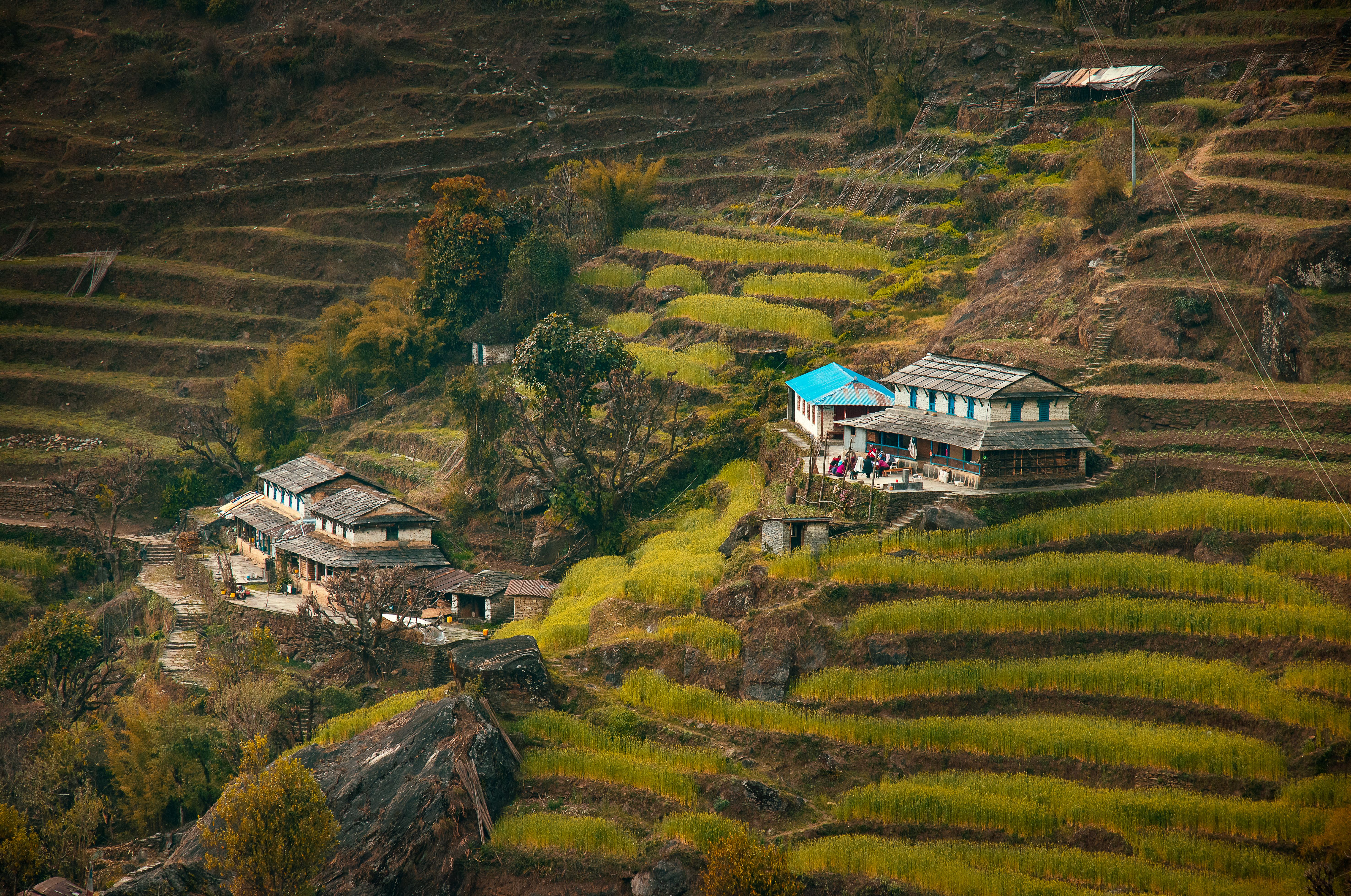 Serene village in Northeast India