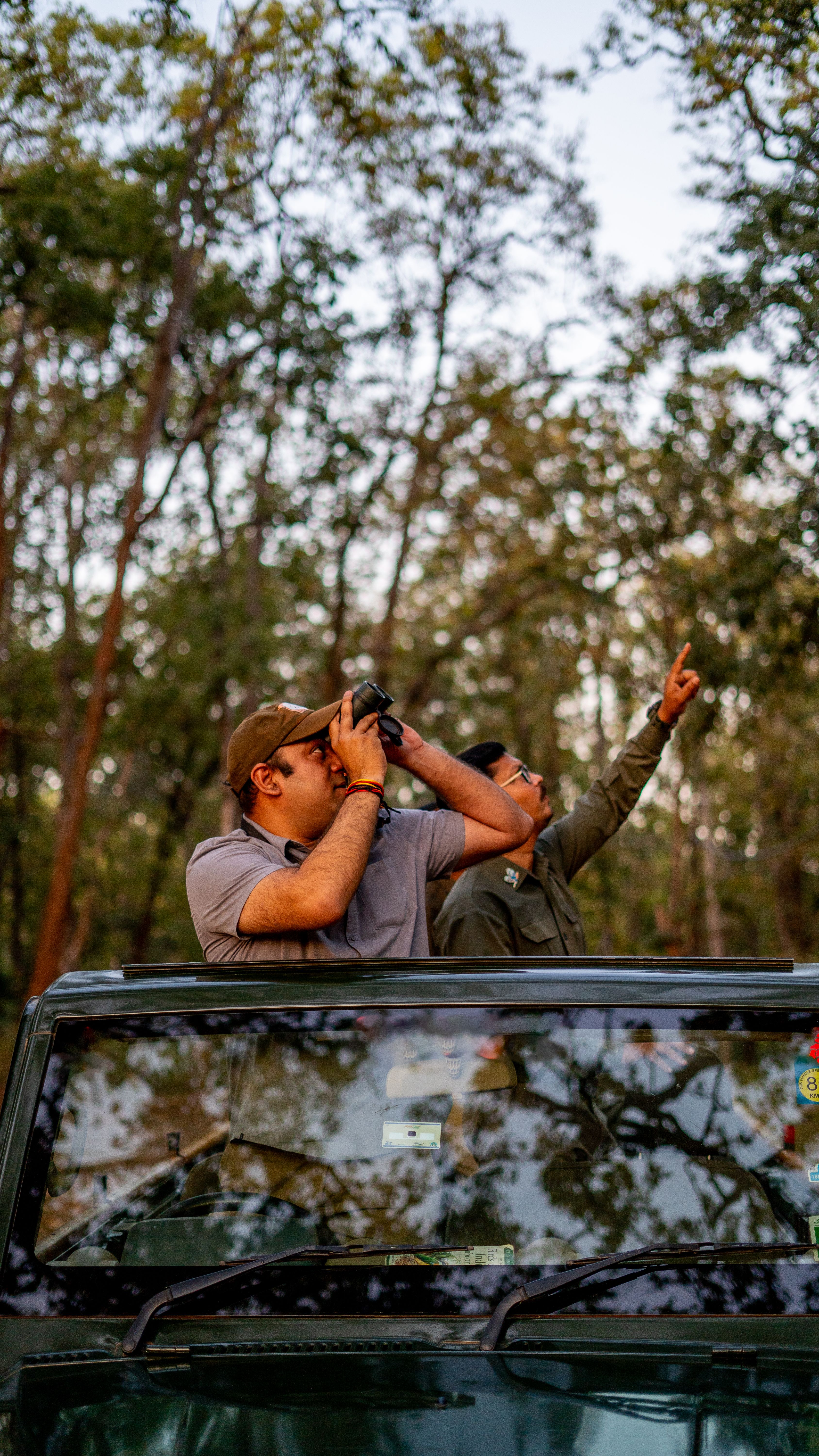 Kaziranga family safari
