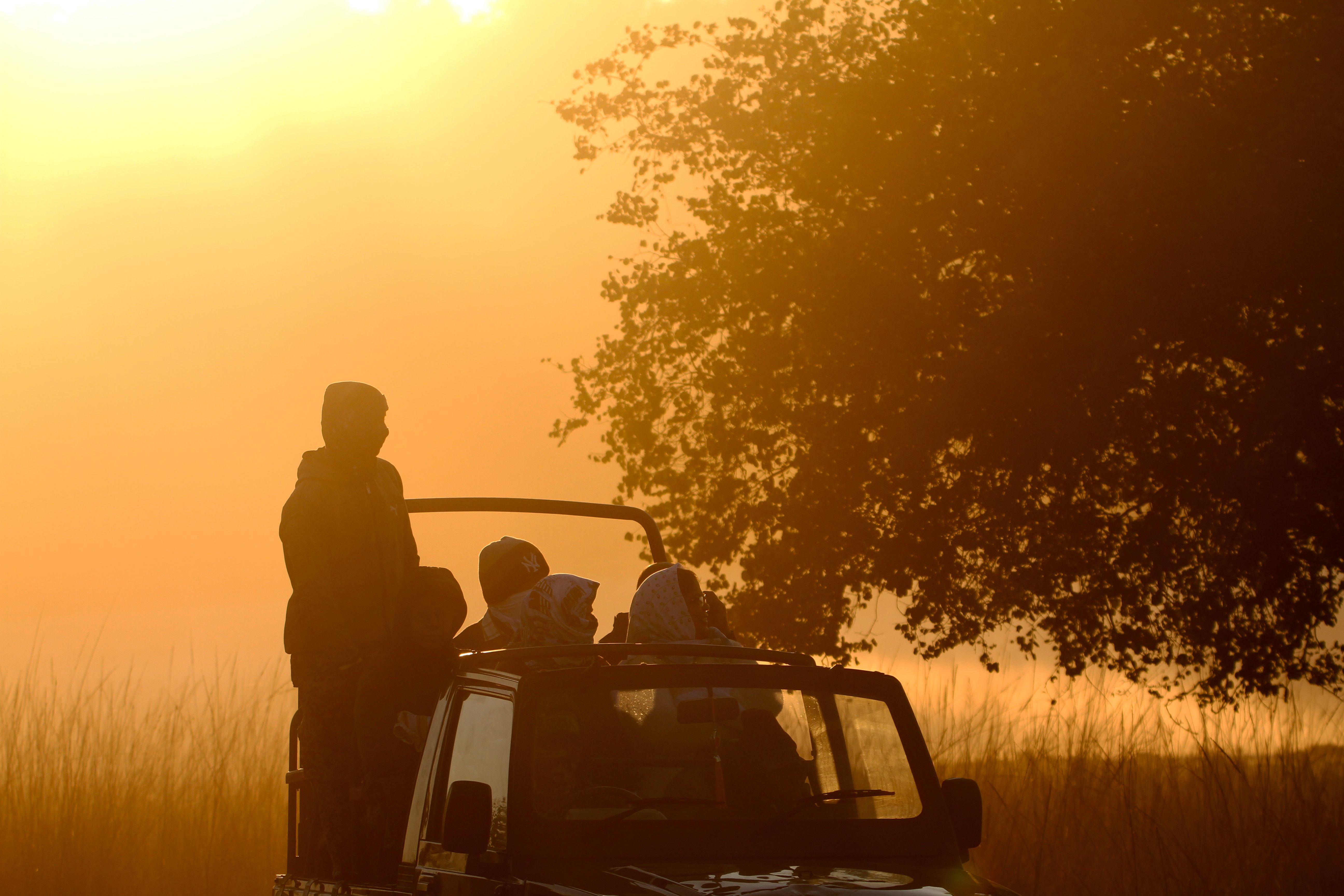 Kaziranga safari