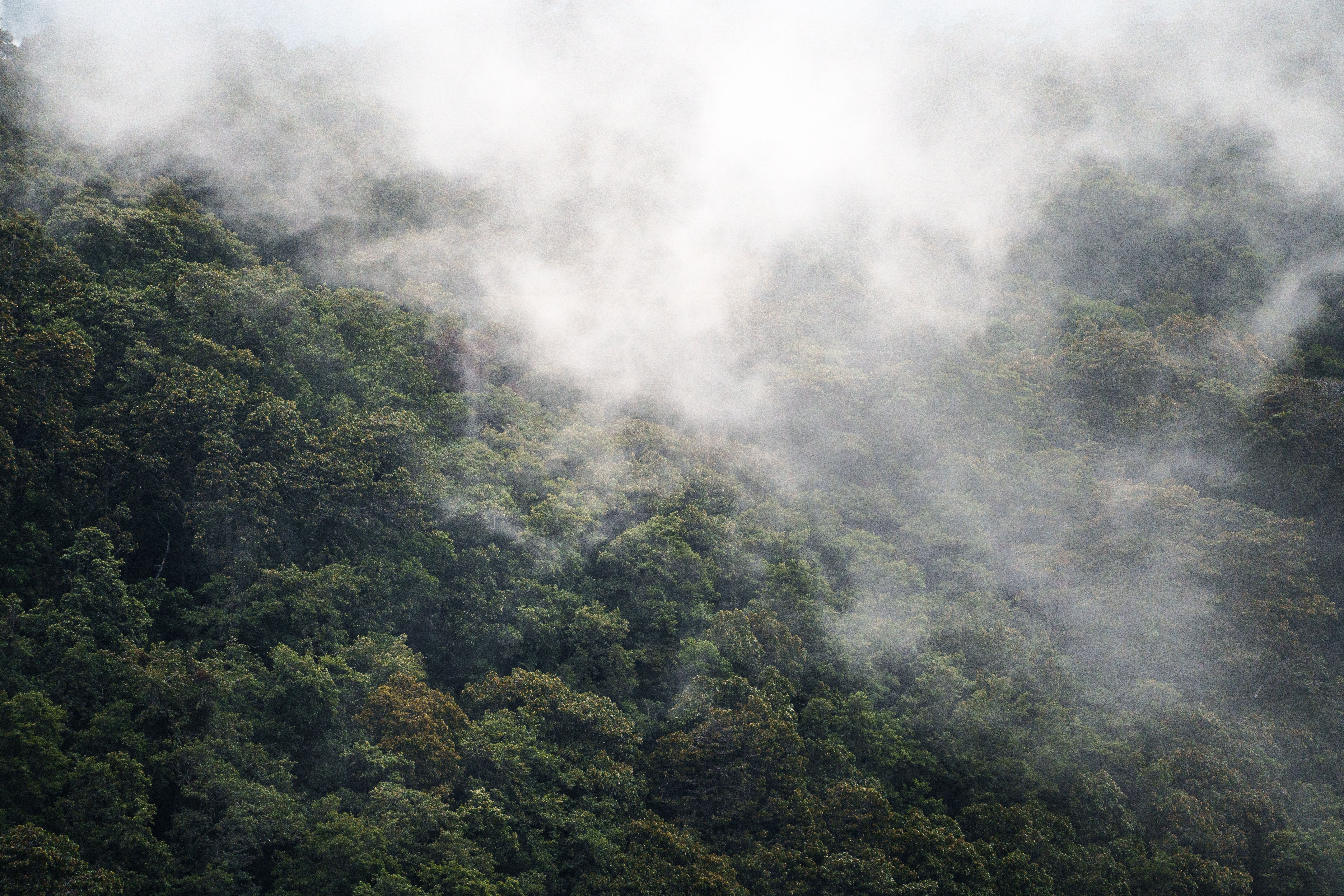 Eaglenest Wildlife Sanctuary