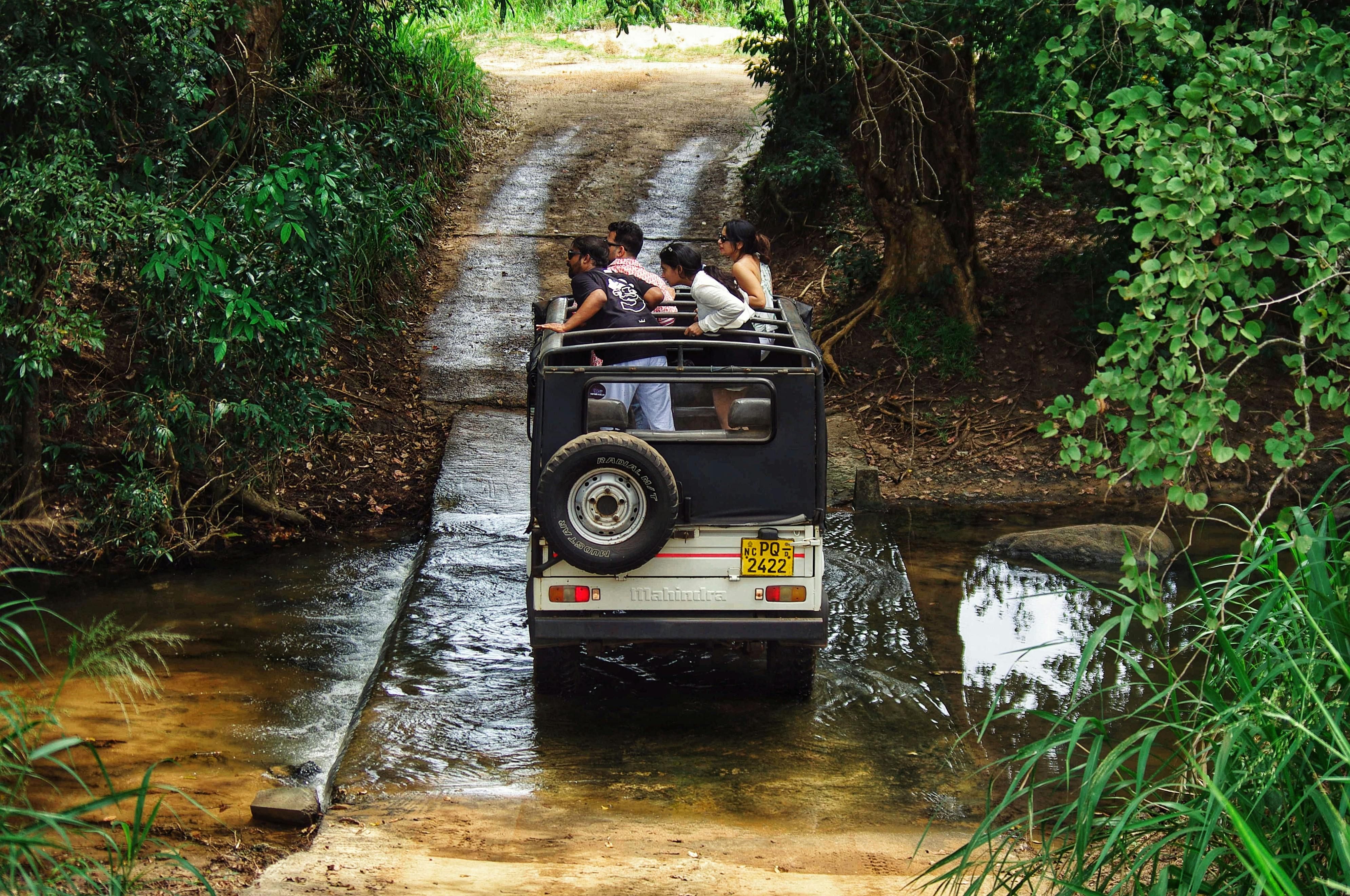 Wildlife jeep safari